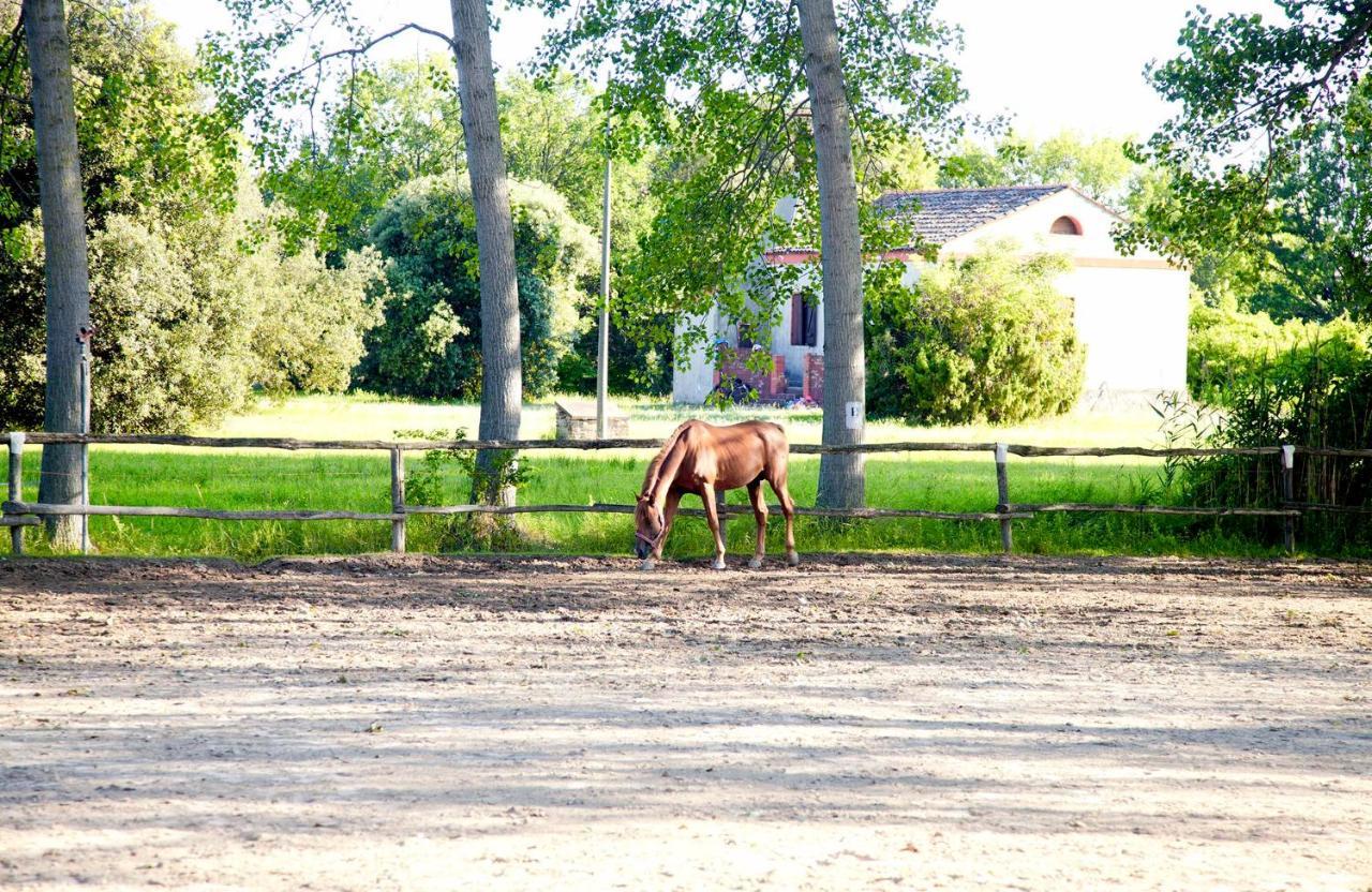 Bosco Canoro 4* Bibione